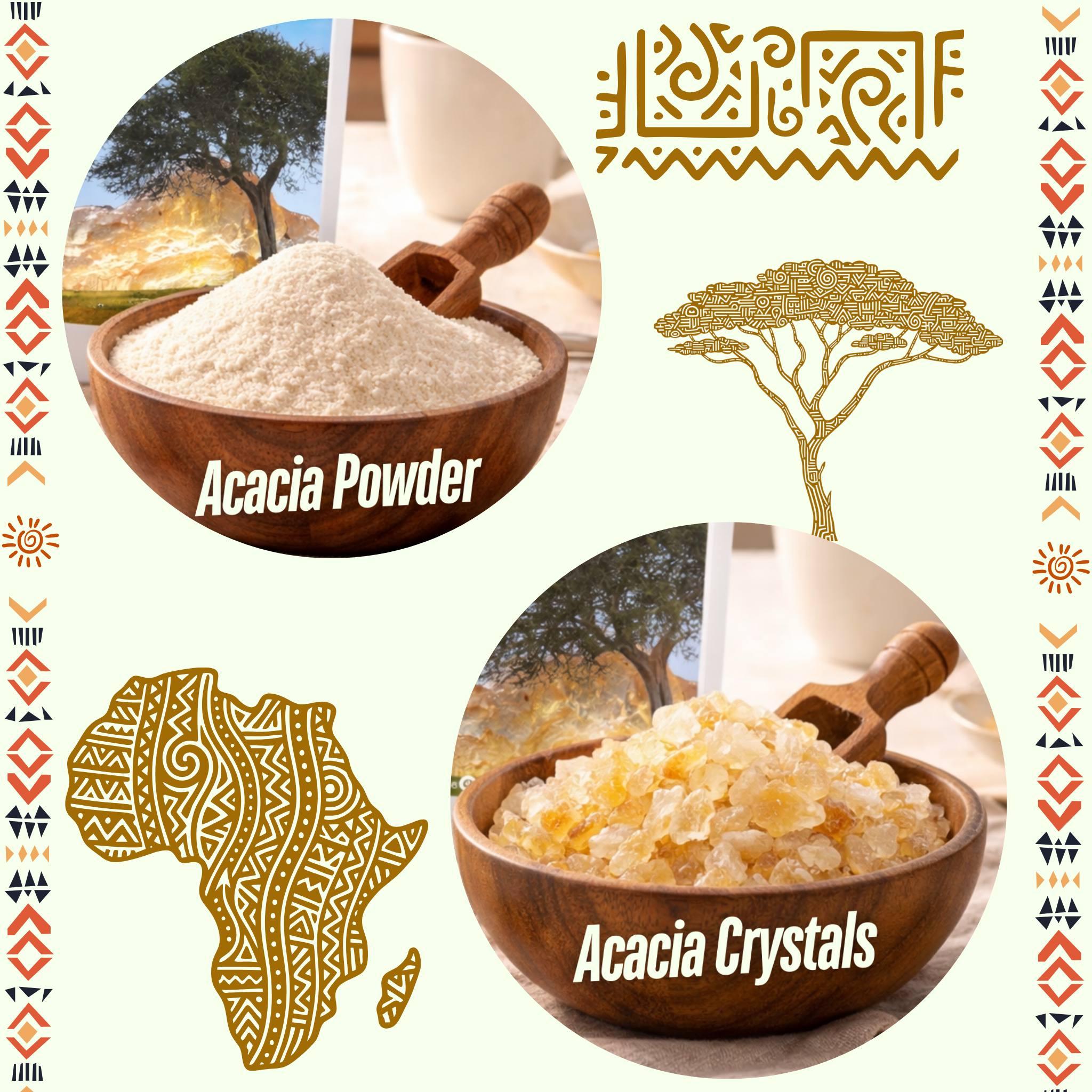 Acacia Fibre | Prebiotic |Digestion Support