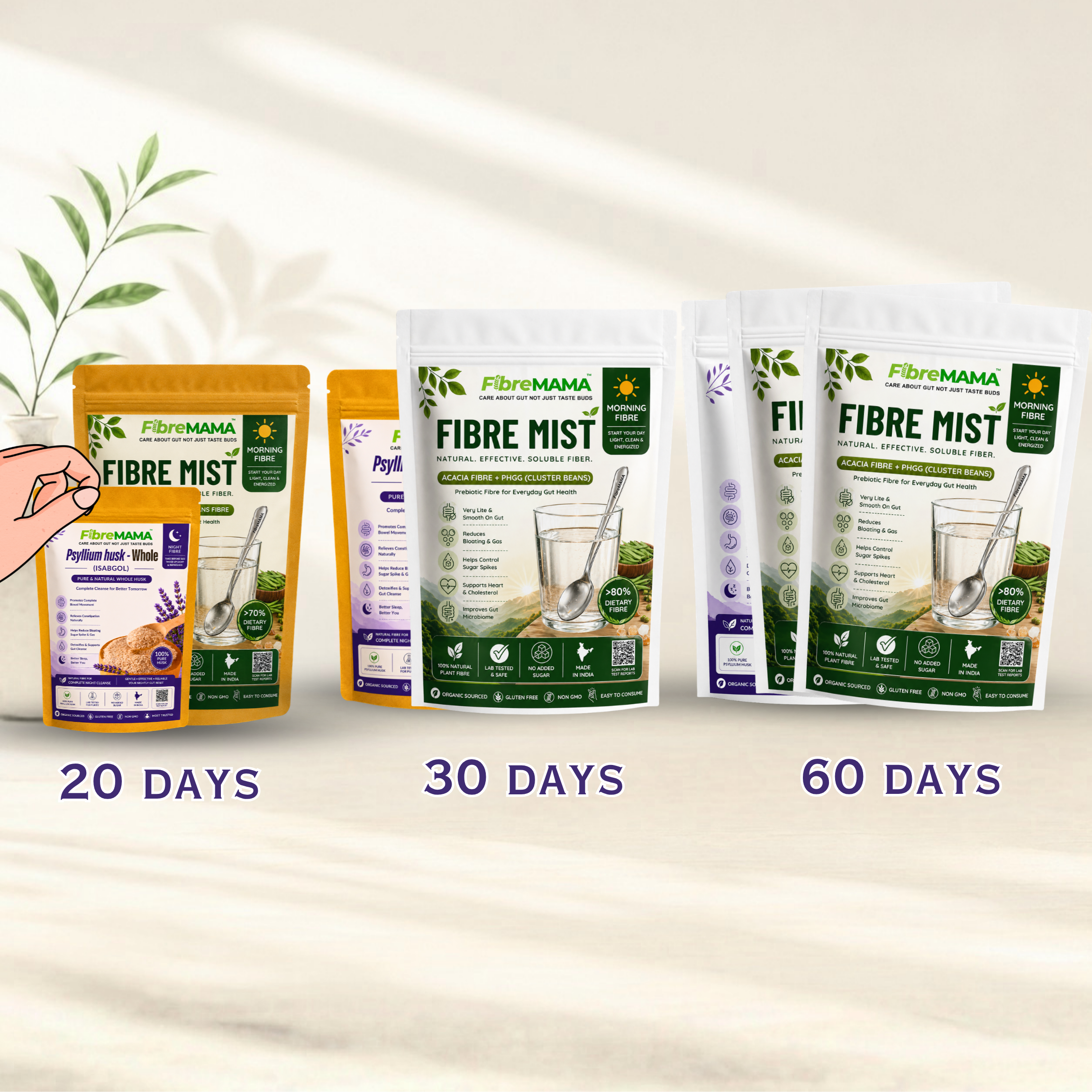 Clear Gut Reset Plans